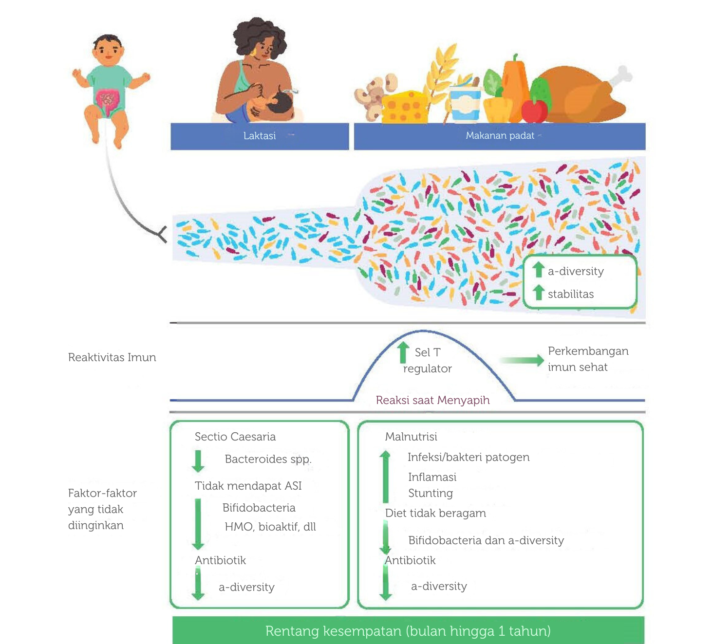 Pengaruh Lama Pemberian Makanan Pertama pada Mikrobioma Usus Bayi